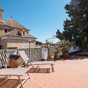 Apartment Penthouse Private Terrace, Near Cathedral, And To Real Maestranza Seville